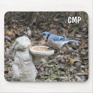 Blue Jay op Cute Rabbit Bird Feeder Muismat