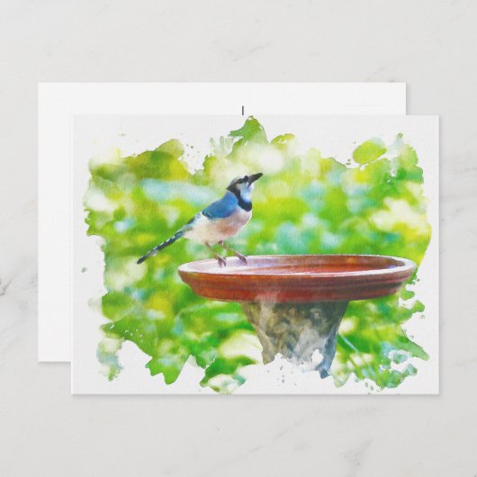 Blue Jay op de waterverf van het vogelbad Briefkaart (Voorkant / Achterkant)