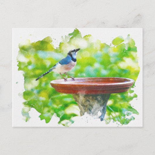 Blue Jay op de waterverf van het vogelbad Briefkaart (Voorkant)