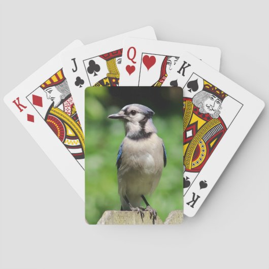 Blue Jay op Fence Bird Lover's speelkaarten (Achterkant)