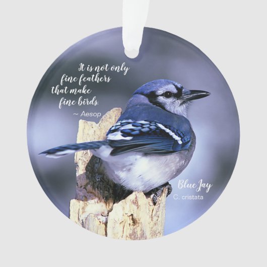 Blue Jay op Post Foto met Quote Birds Nest w/Eggs Ornament (voorkant)