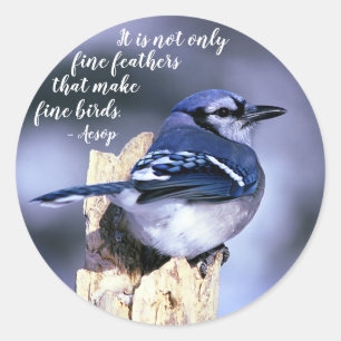 Blue Jay op Post Wildlife Foto Natuur Ronde Sticker