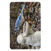 Blue Jay op Rabbit Bird Feeder Magnet Magneet (Verticaal)