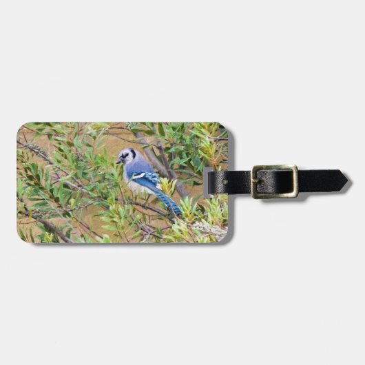 Blue Jay op Southern Wax Myrtle Bagagelabel (Voorkant horizontaal)