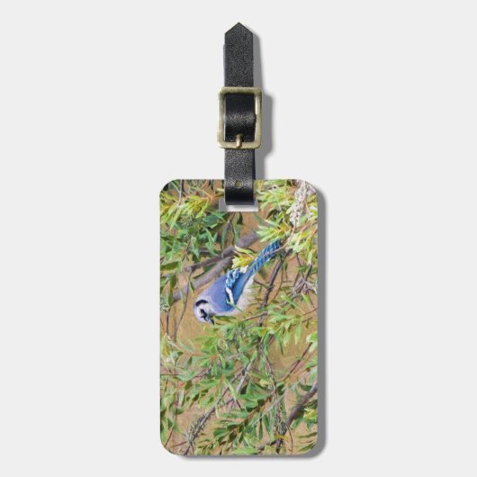 Blue Jay op Southern Wax Myrtle Bagagelabel (Voorkant verticaal)
