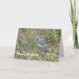 Blue Jay op Southern Wax Myrtle Birthday Kaart