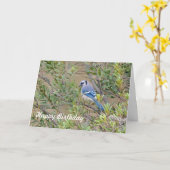 Blue Jay op Southern Wax Myrtle Birthday Kaart (Gele Bloem)