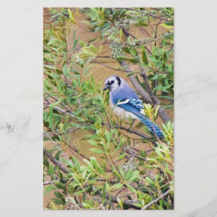 Blue Jay op Southern Wax Myrtle Briefpapier