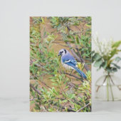 Blue Jay op Southern Wax Myrtle Briefpapier (Staand voorkant)
