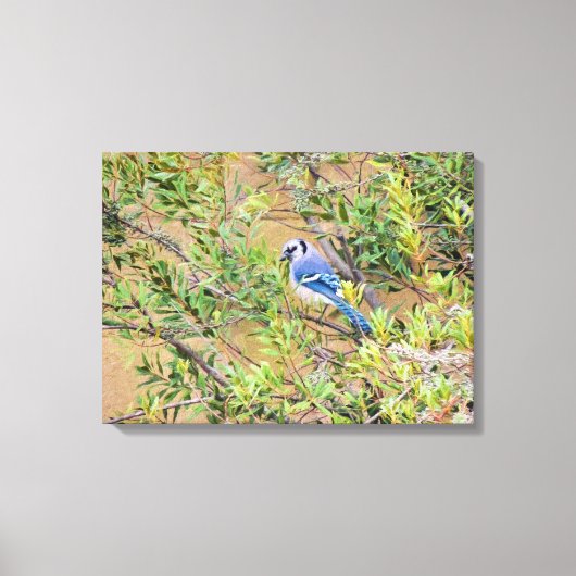 Blue Jay op Southern Wax Myrtle Canvas Afdruk (Voorkant)