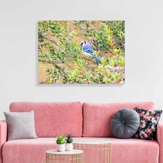 Blue Jay op Southern Wax Myrtle Canvas Afdruk (Insitu (Woonkamer))
