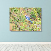 Blue Jay op Southern Wax Myrtle Canvas Afdruk (Insitu (Houten vloer))