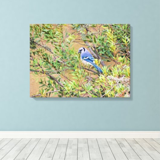 Blue Jay op Southern Wax Myrtle Canvas Afdruk (Insitu (Houten vloer))
