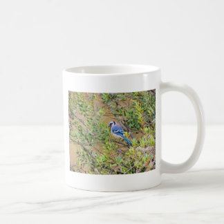 Blue Jay op Southern Wax Myrtle Koffiemok
