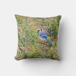 Blue Jay op Southern Wax Myrtle Kussen