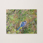 Blue Jay op Southern Wax Myrtle Legpuzzel (Horizontaal)