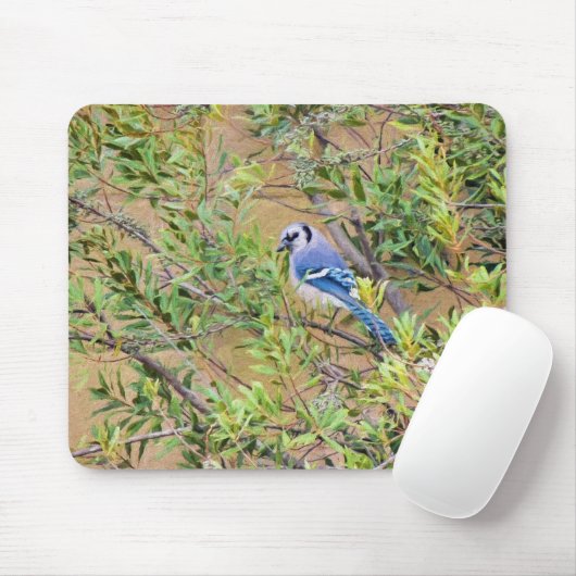 Blue Jay op Southern Wax Myrtle Muismat (Met muis)