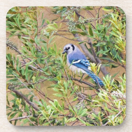 Blue Jay op Southern Wax Myrtle Onderzetter (Voorkant)