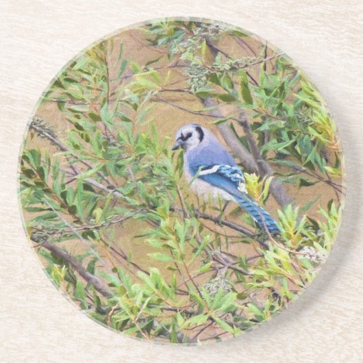 Blue Jay op Southern Wax Myrtle Zandsteen Onderzetter (Voorkant)
