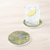 Blue Jay op Southern Wax Myrtle Zandsteen Onderzetter (Zijkant)