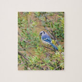 Blue Jay op Wax Myrtle Legpuzzel (Verticaal)