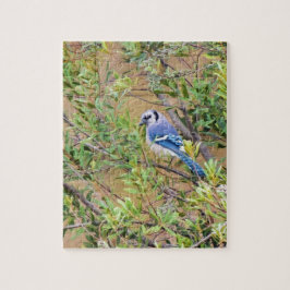 Blue Jay op Wax Myrtle Legpuzzel