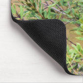 Blue Jay op Wax Myrtle Muismat (Hoek)