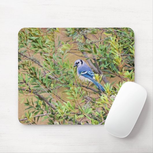 Blue Jay op Wax Myrtle Muismat (Met muis)