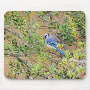 Blue Jay op Wax Myrtle Muismat