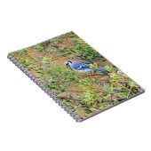 Blue Jay op Wax Myrtle Notitieboek (Rechterzijde)
