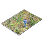Blue Jay op Wax Myrtle Notitieboek (Linkerzijde)