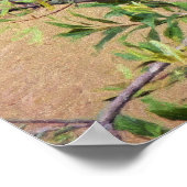 Blue Jay op Wax Myrtle Poster (Hoek)