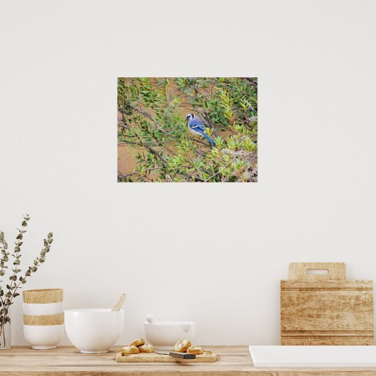 Blue Jay op Wax Myrtle Poster (Keuken)