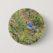 Blue Jay op Wax Myrtle Ronde Button 5,7 Cm (Voorkant)