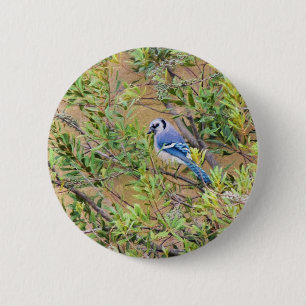 Blue Jay op Wax Myrtle Ronde Button 5,7 Cm