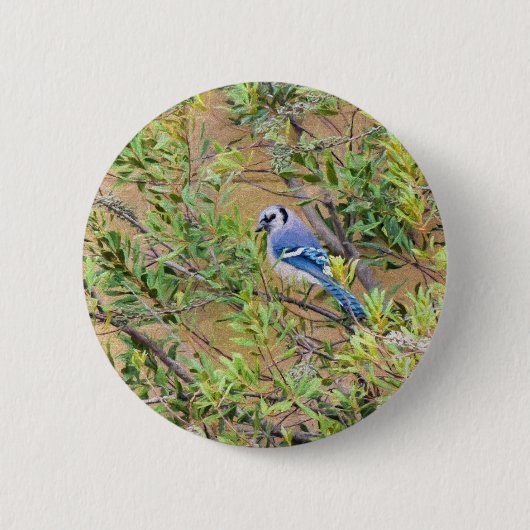 Blue Jay op Wax Myrtle Ronde Button 5,7 Cm (Voorkant)