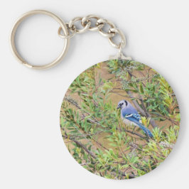 Blue Jay op Wax Myrtle Sleutelhanger