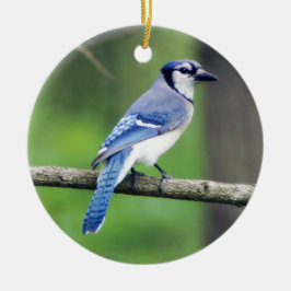 Blue Jay Ornament