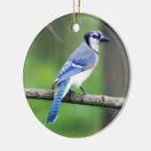 Blue Jay Ornament (Links)