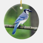 Blue Jay Ornament (Achterkant)