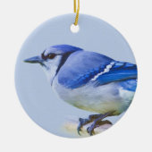 Blue Jay Ornament (Voorkant)