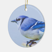 Blue Jay Ornament (Links)