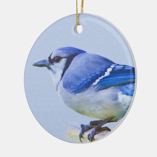 Blue Jay Ornament (Links)