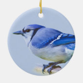 Blue Jay Ornament (Achterkant)