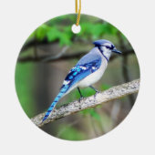 Blue Jay Ornament (Voorkant)