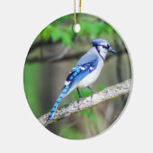 Blue Jay Ornament (Links)