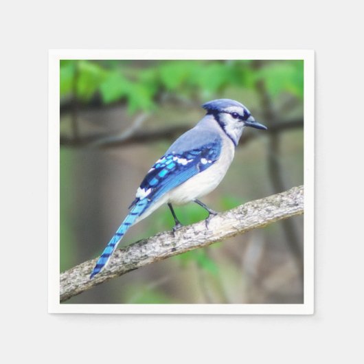 Blue Jay Paper Napkin Servet (Voorkant)