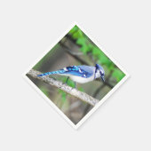 Blue Jay Paper Napkin Servet (Hoek)