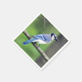 Blue Jay Paper Napkin Servetten (Hoek)