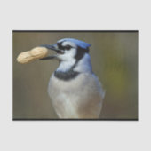 Blue Jay Peanut Tissuepapier (Voorkant)